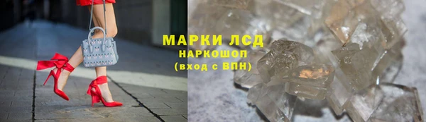 PSILOCYBIN Балахна