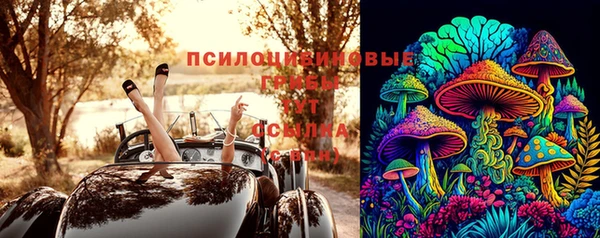 PSILOCYBIN Балахна