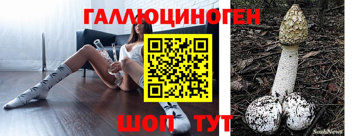 Галлюциногенные грибы Psilocybine cubensis  Вход с VPN  Кувандык 